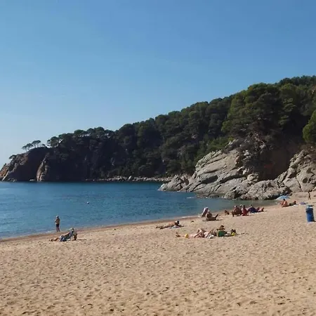 Kerstin Bruns-liebre 2 * Tossa de Mar