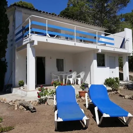 Kerstin Bruns-liebre 2 Apartment Tossa de Mar