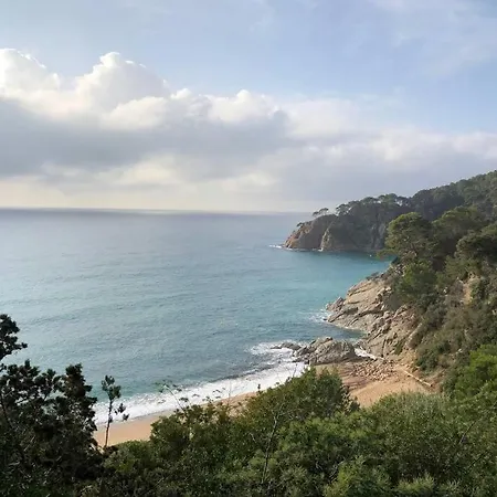 Apartment Kerstin Bruns-liebre 2 Tossa de Mar